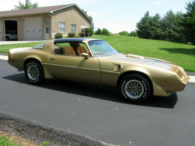 Pontiac Trans Am 1979 image number 2