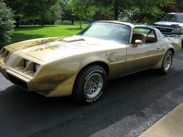 Pontiac Trans Am 1979 image number 25