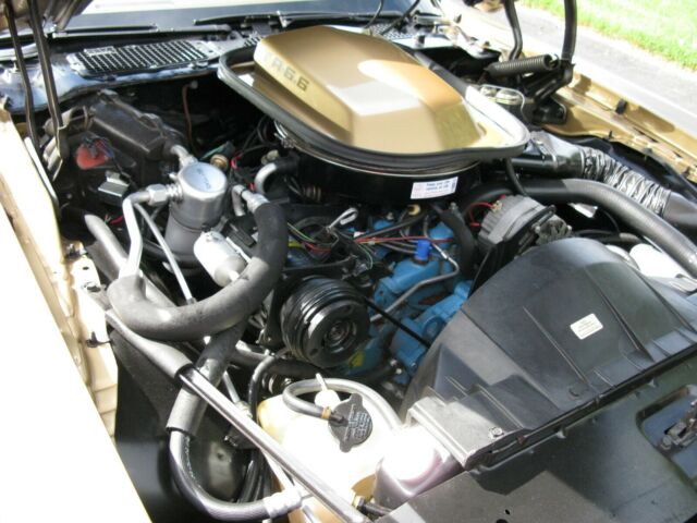 Pontiac Trans Am 1979 image number 35