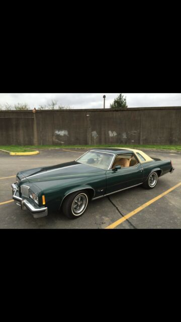 Pontiac Grand Prix 1977 image number 13