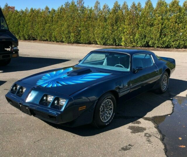 Pontiac Trans Am 1979 image number 0