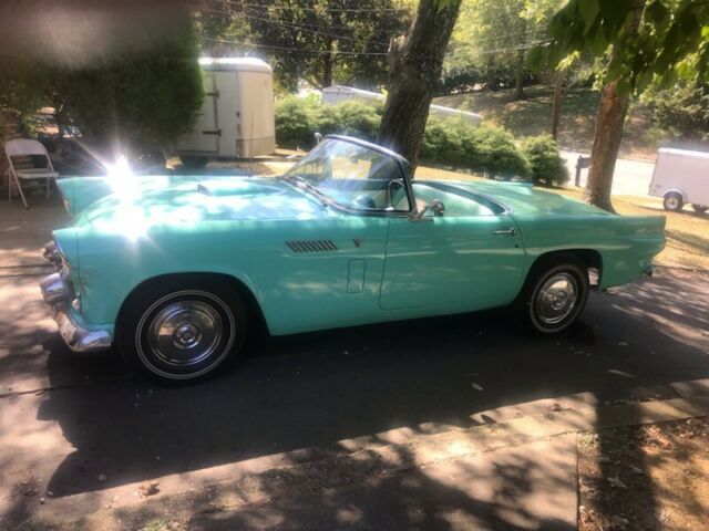 Ford Thunderbird 1955 image number 16