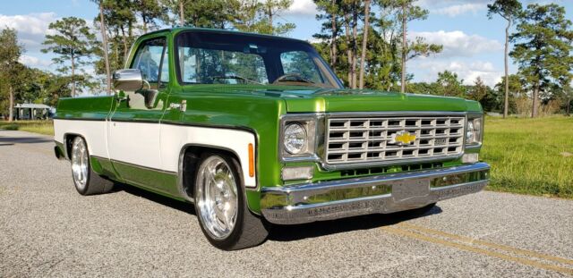 Chevrolet C-10 1976 image number 2