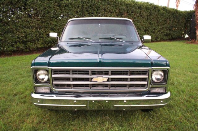 Chevrolet C-10 1979 image number 17