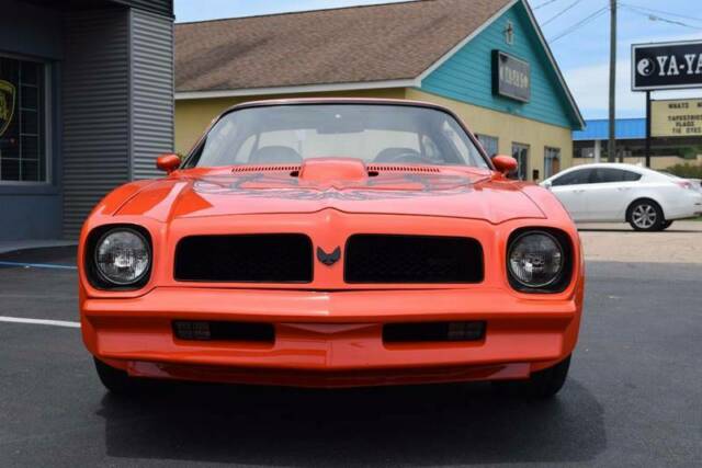 Pontiac Firebird Trans Am HO 1976 image number 19