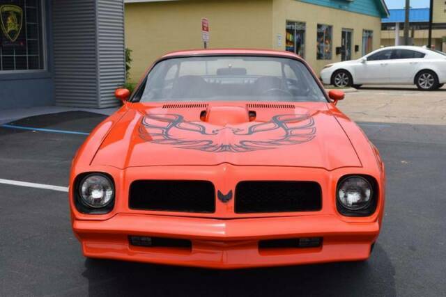 Pontiac Firebird Trans Am HO 1976 image number 6