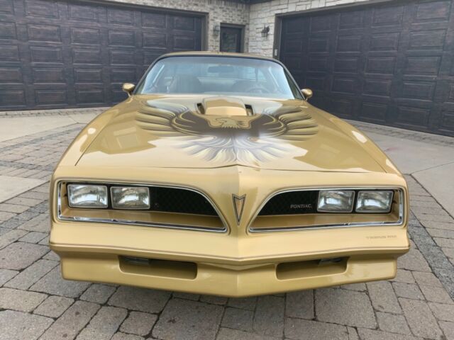 Pontiac Trans Am 1978 image number 19