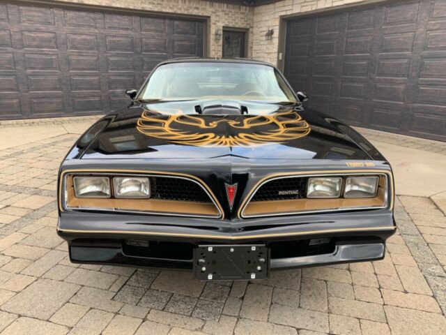 Pontiac Trans Am 1977 image number 1