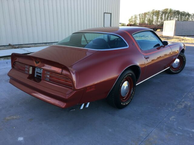 Pontiac Firebird 1976 image number 8