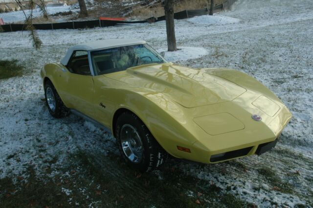 Chevrolet Corvette 1974 image number 11