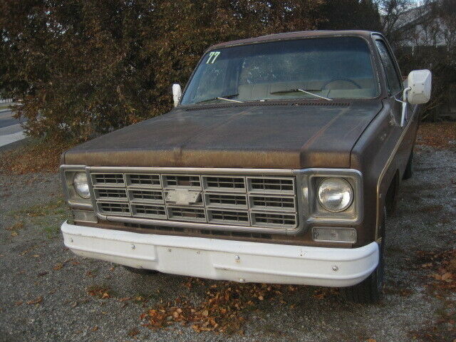 Chevrolet C-10 1977 image number 29