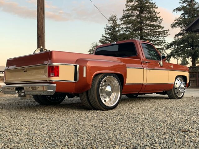 Chevrolet C-10 1977 image number 10