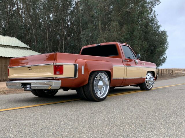 Chevrolet C-10 1977 image number 19