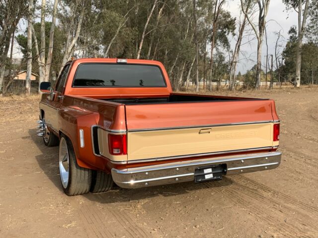 Chevrolet C-10 1977 image number 32