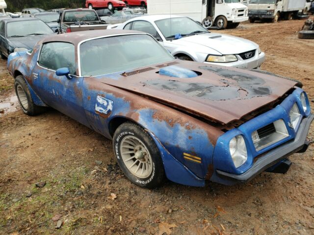 Pontiac Trans Am 1975 image number 24