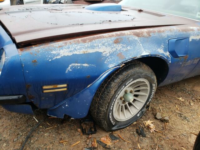 Pontiac Trans Am 1975 image number 3