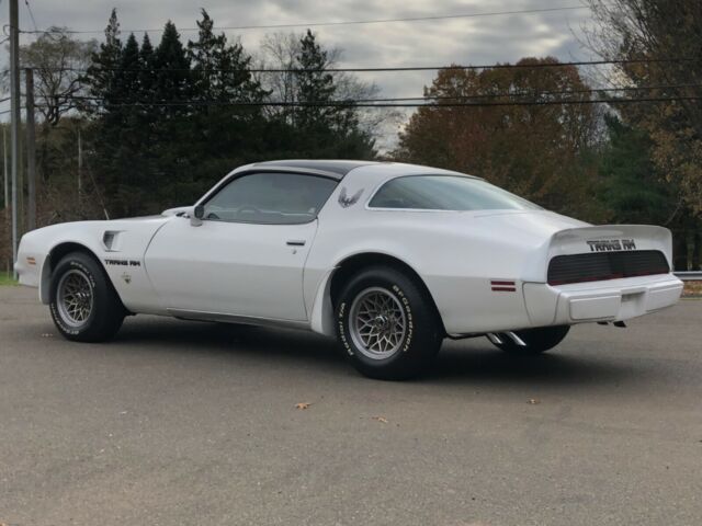 Pontiac Trans Am 1979 image number 2