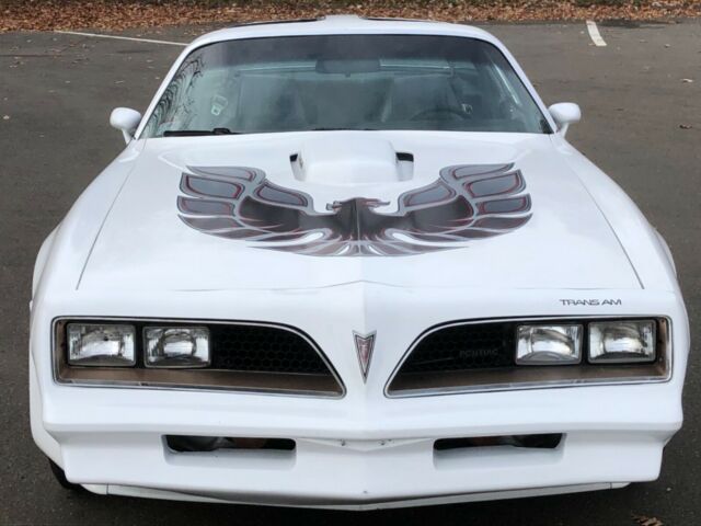 Pontiac Trans Am 1979 image number 6