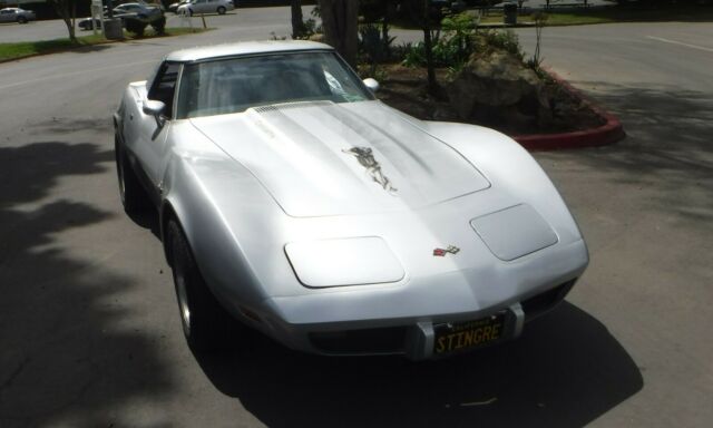 Chevrolet Corvette 1973 image number 8