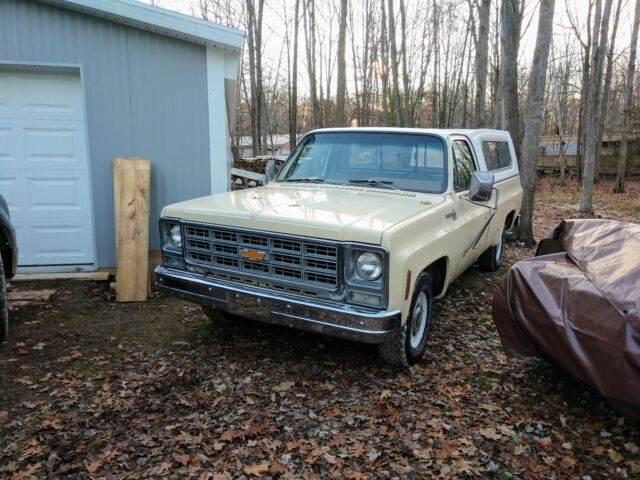 Chevrolet C10/K10 1979 image number 0