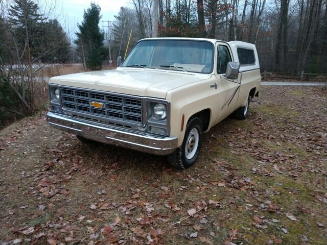 Chevrolet C10/K10 1979 image number 19