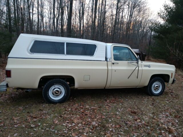 Chevrolet C10/K10 1979 image number 20