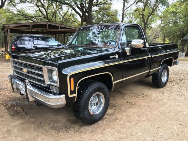 Chevrolet C-10 1977 image number 24