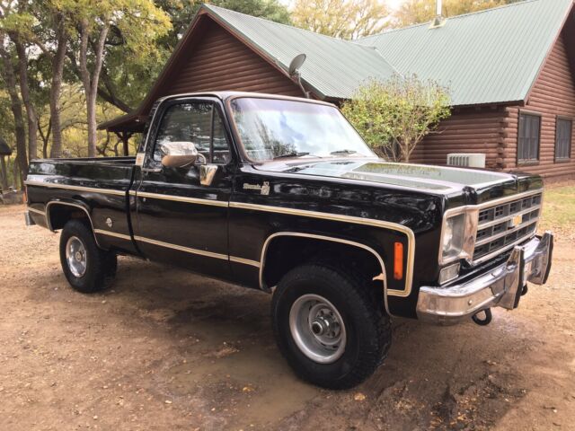 Chevrolet C-10 1977 image number 26