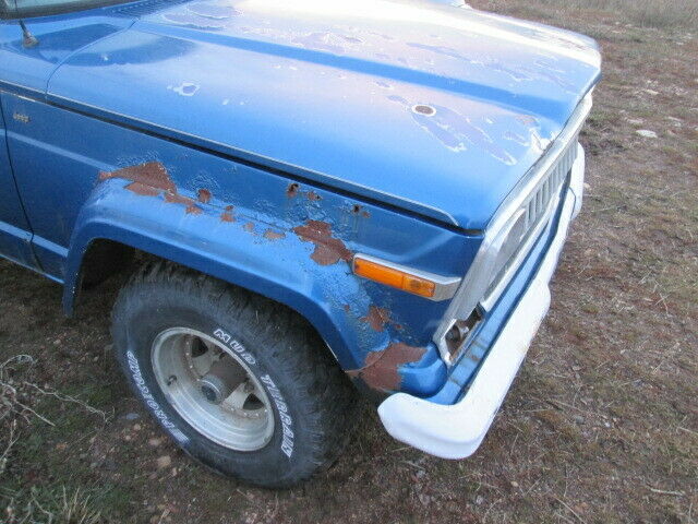 Jeep J10 1975 image number 43