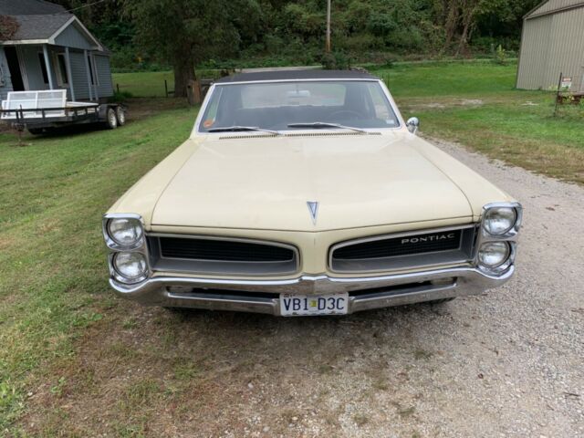 Pontiac Le Mans 1966 image number 2