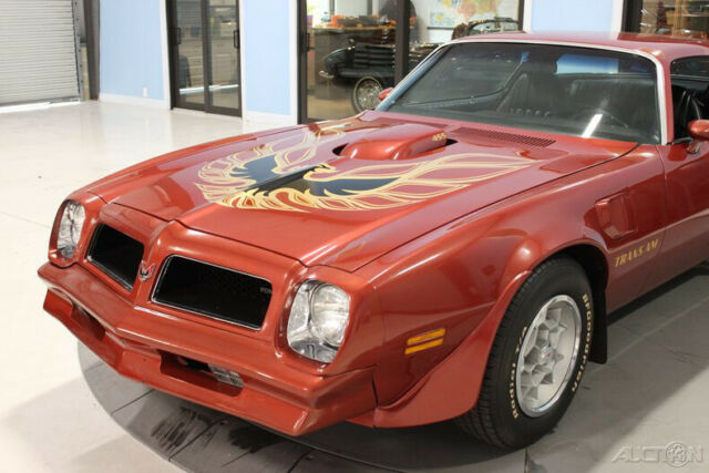 Pontiac Trans AM 1976 image number 8