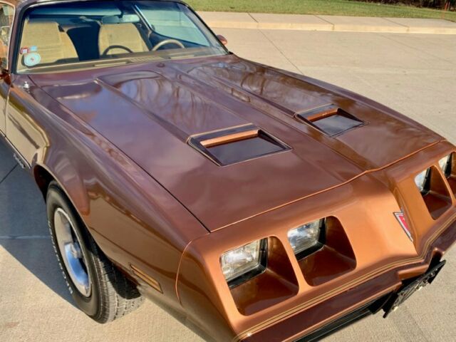 Pontiac Firebird 1979 image number 33