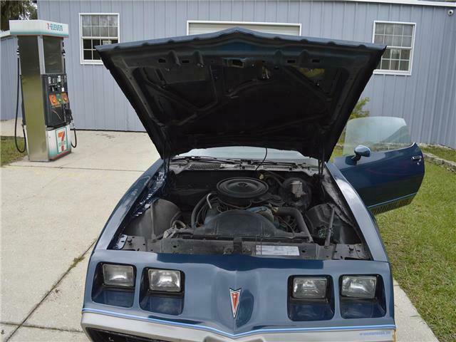 Pontiac fire bird 1979 image number 23