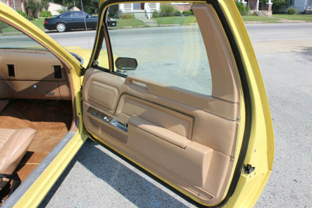 AMC Pacer 1978 image number 10