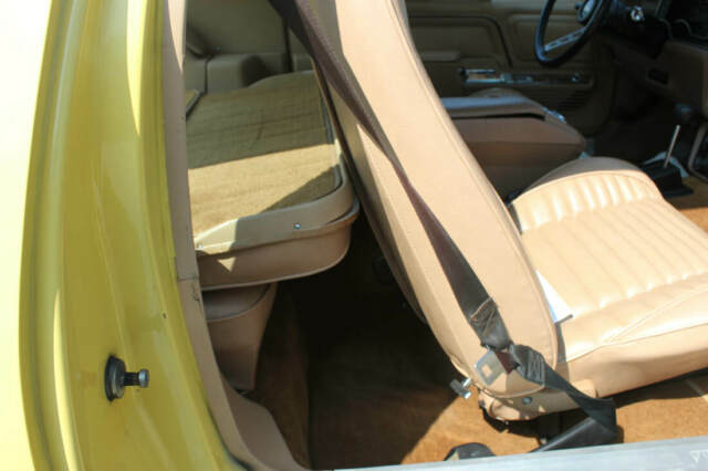 AMC Pacer 1978 image number 11