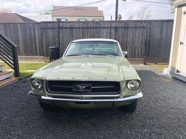 Ford Mustang 1967 image number 12