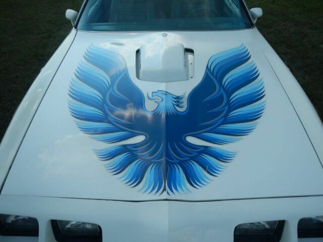 Pontiac Trans Am 1979 image number 9