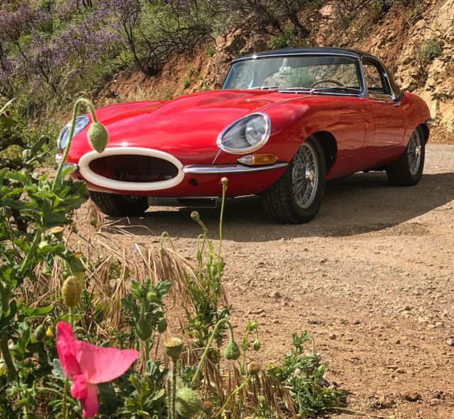 Jaguar E-Type 1963 image number 27