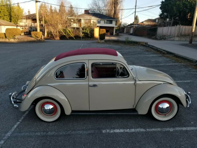 Volkswagen Beetle - Classic 1955 image number 1