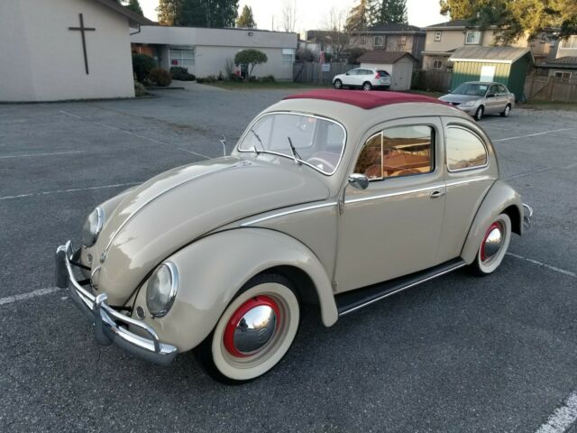 Volkswagen Beetle - Classic 1955 image number 32