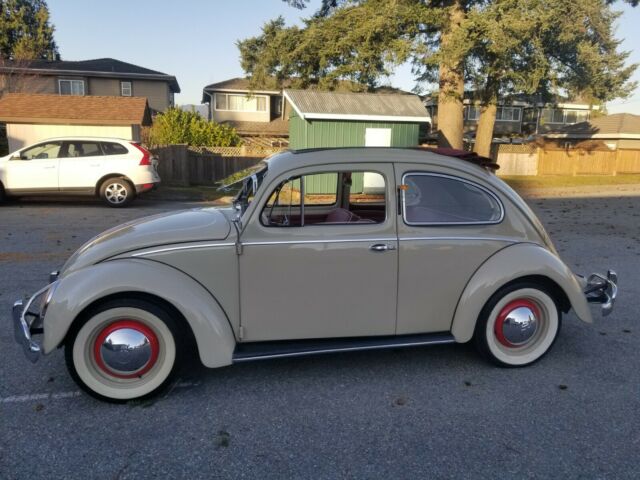 Volkswagen Beetle - Classic 1955 image number 47