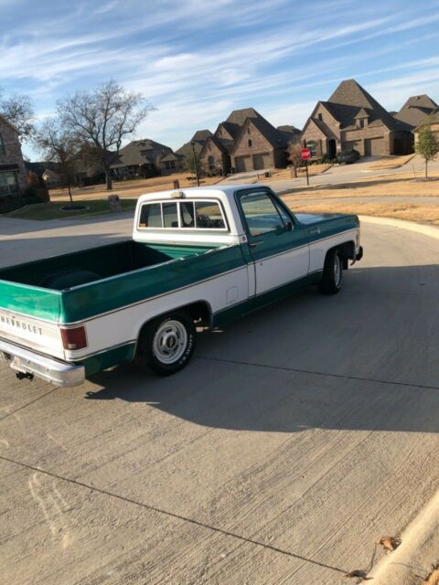 Chevrolet C-10 1979 image number 27