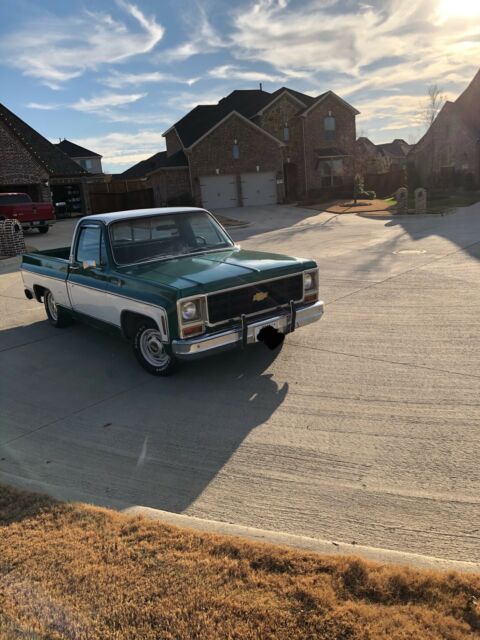 Chevrolet C-10 1979 image number 30