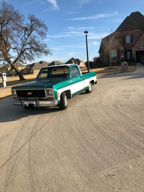 Chevrolet C-10 1979 image number 31