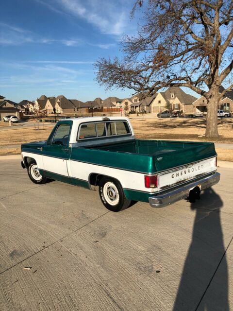 Chevrolet C-10 1979 image number 33