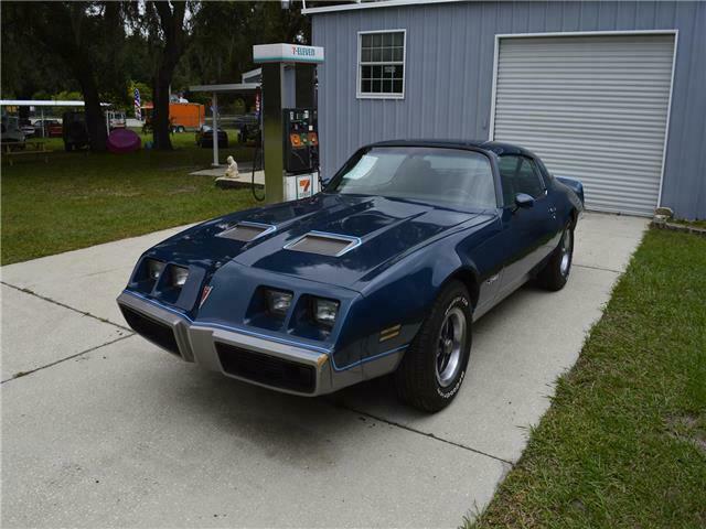 Pontiac fire bird 1979 image number 33