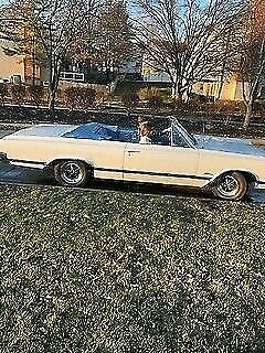 Oldsmobile Cutlass 1965 image number 19