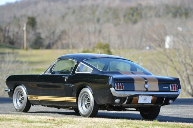 Shelby GT350-H 1966 image number 10