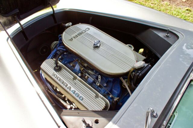 Ford Cobra 1966 image number 27