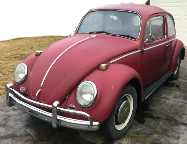 Volkswagen Beetle - Classic 1966 image number 2